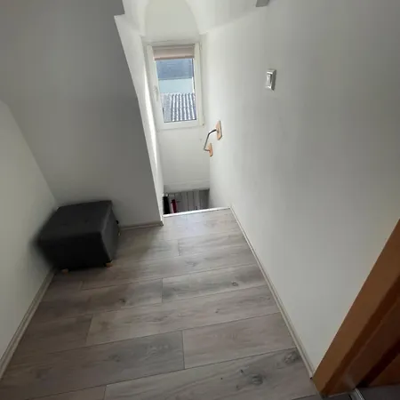 Dach D1 루셀스하임